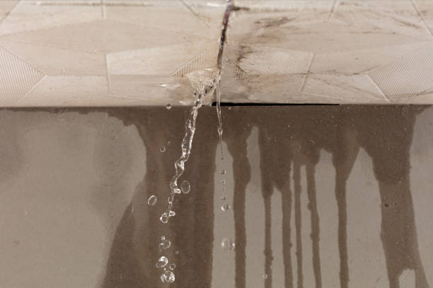 Professional Sewage Cleanup technician working in Timber, OR
